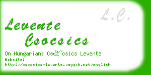 levente csocsics business card